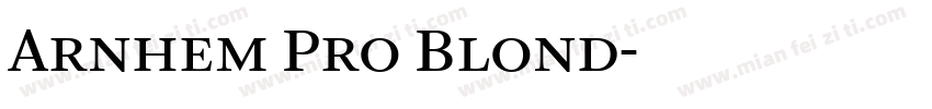 Arnhem Pro Blond字体转换